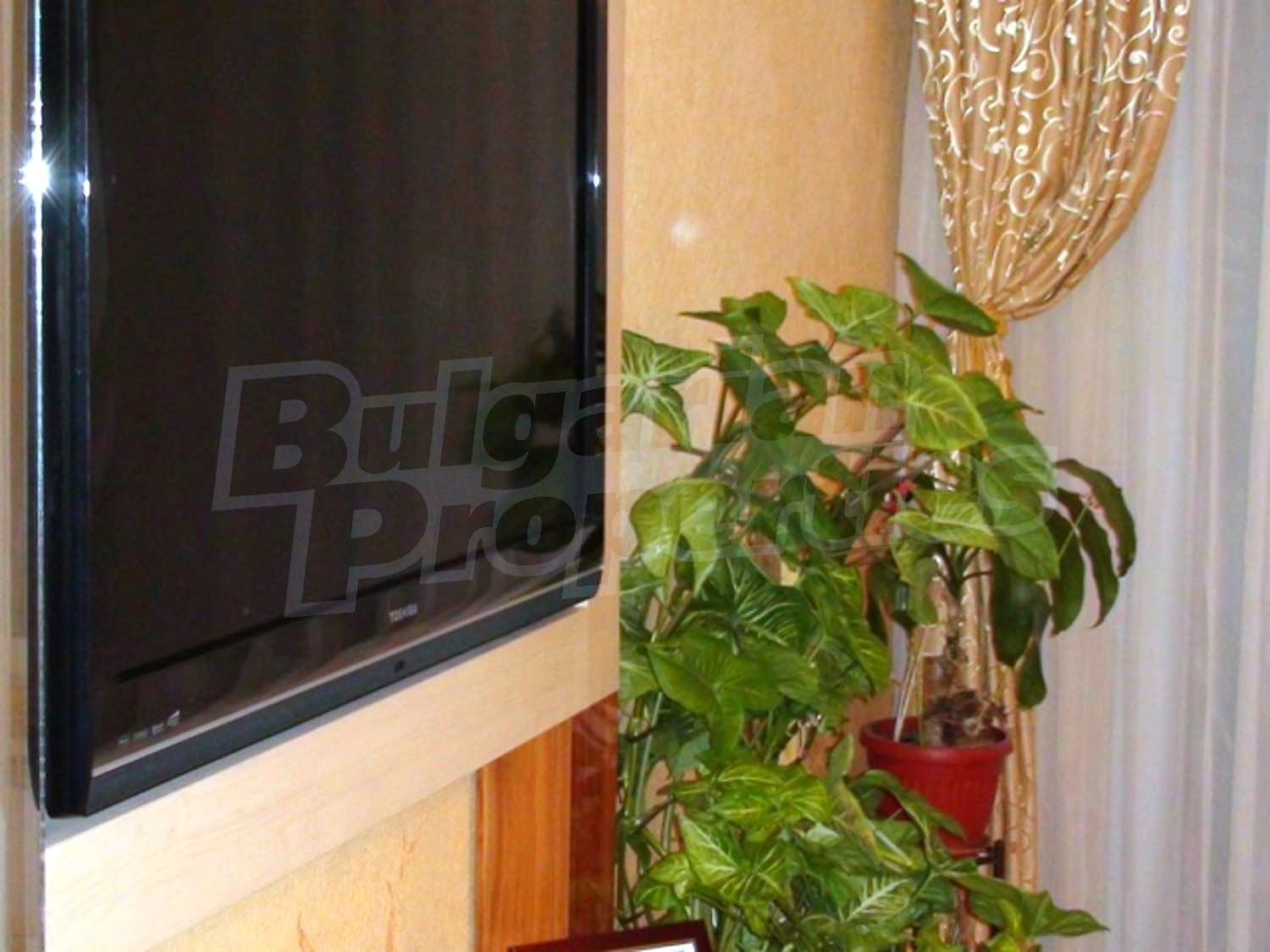 Gallery Picture 8