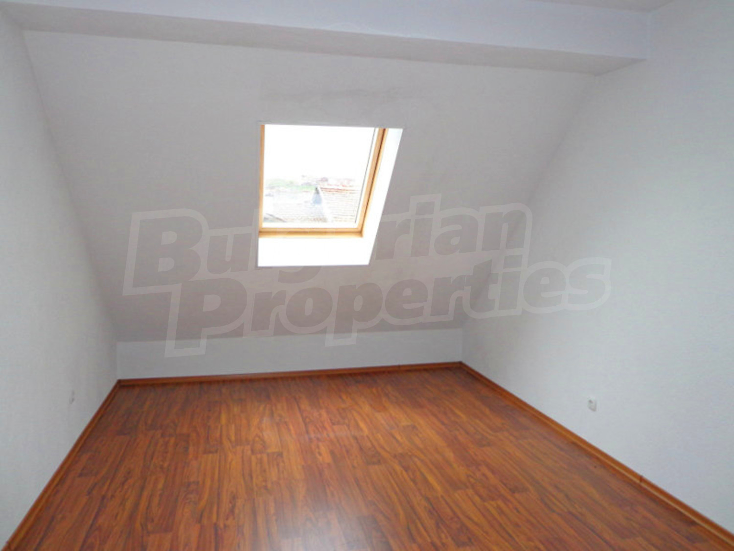 Gallery Picture 4