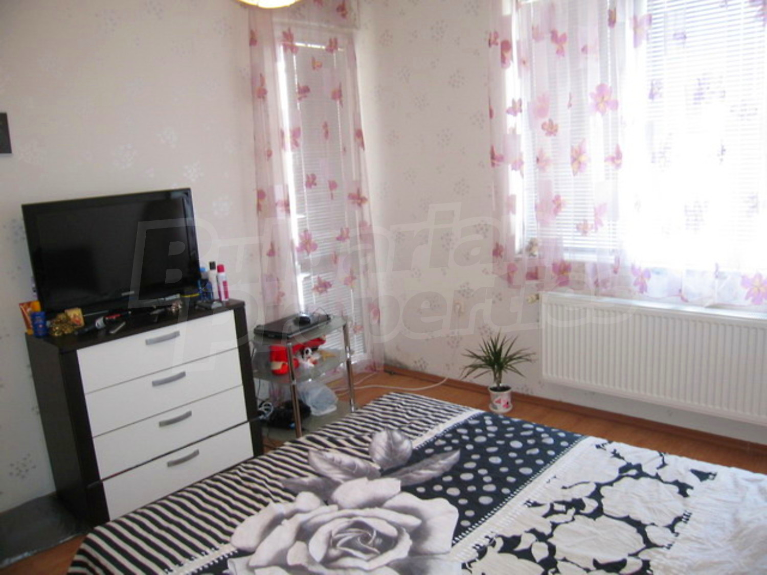 Gallery Picture 7