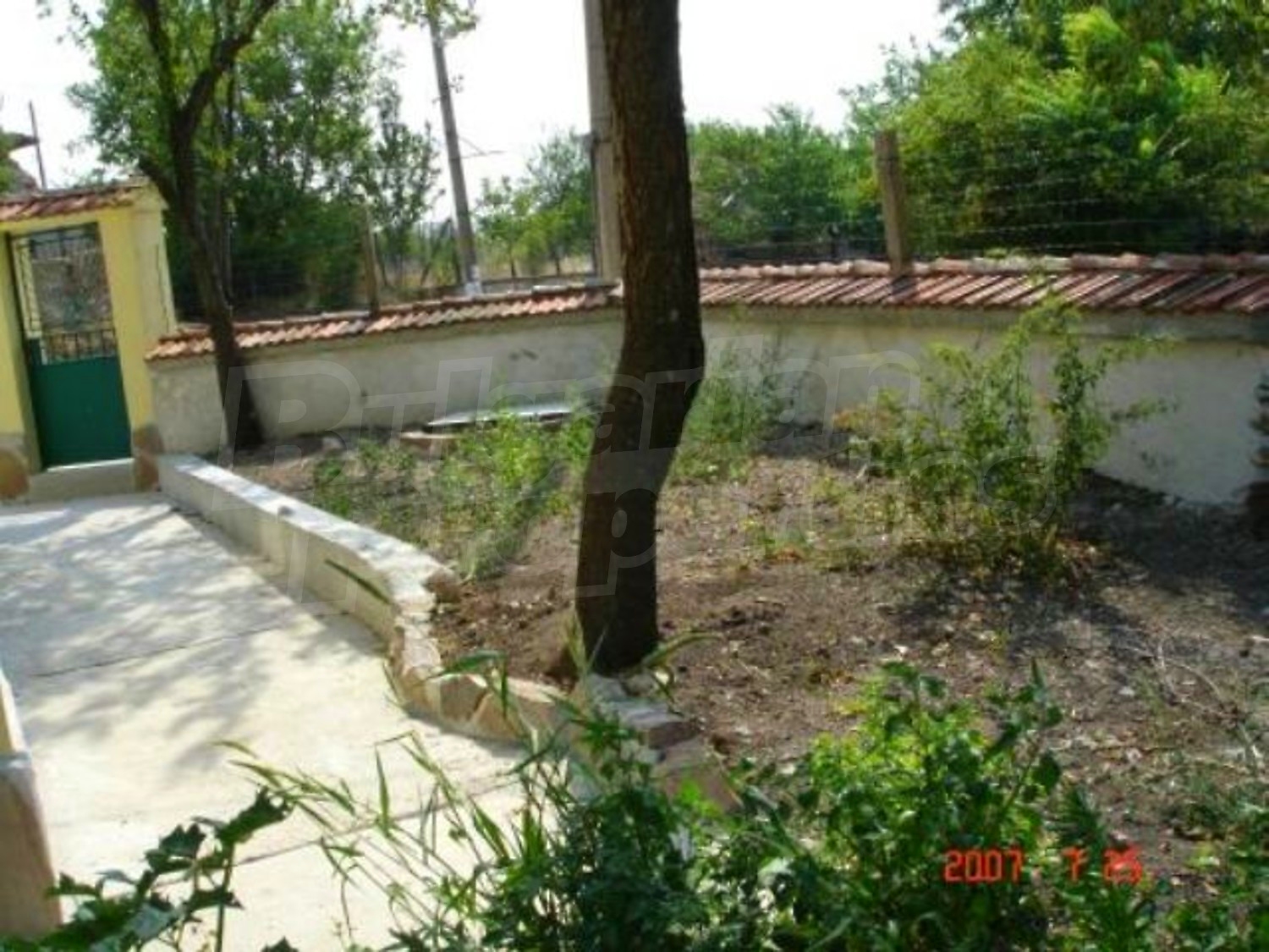 Gallery Picture 18