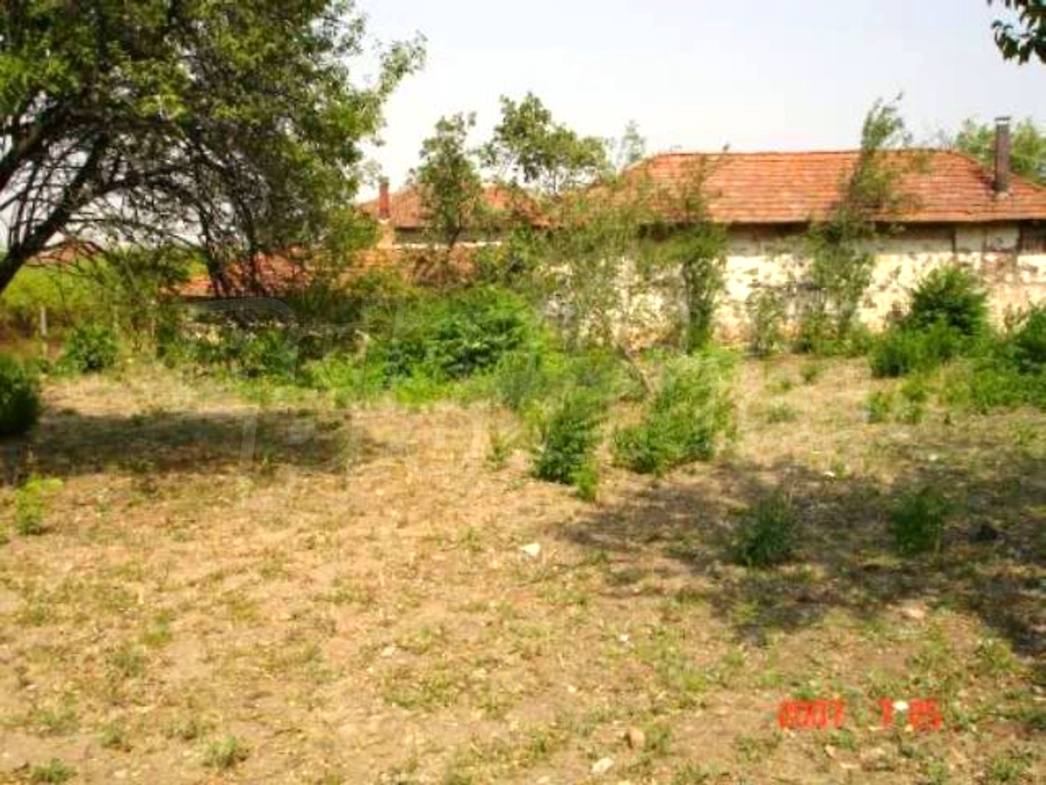 Gallery Picture 21