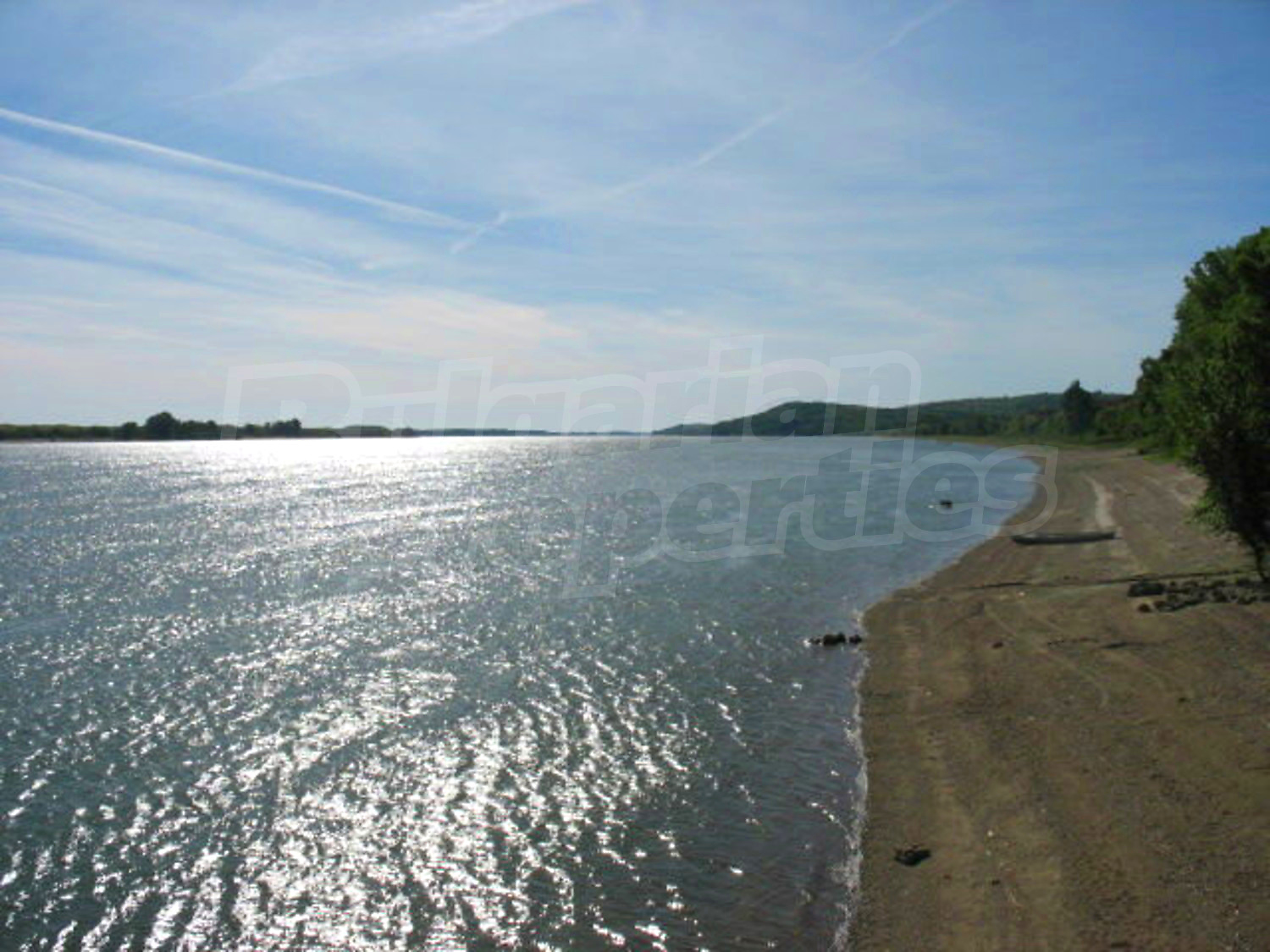 Gallery Picture 16