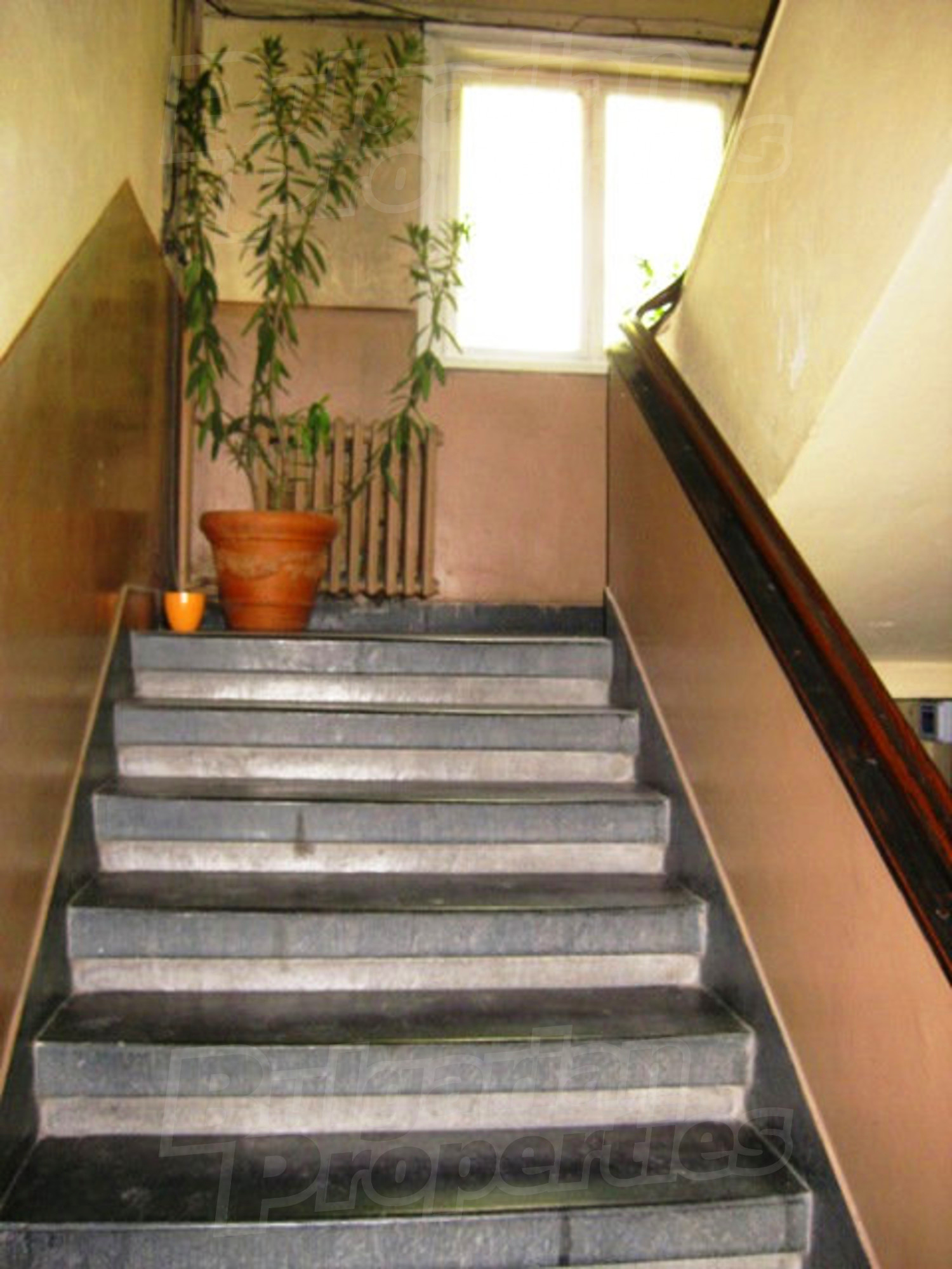 Gallery Picture 15