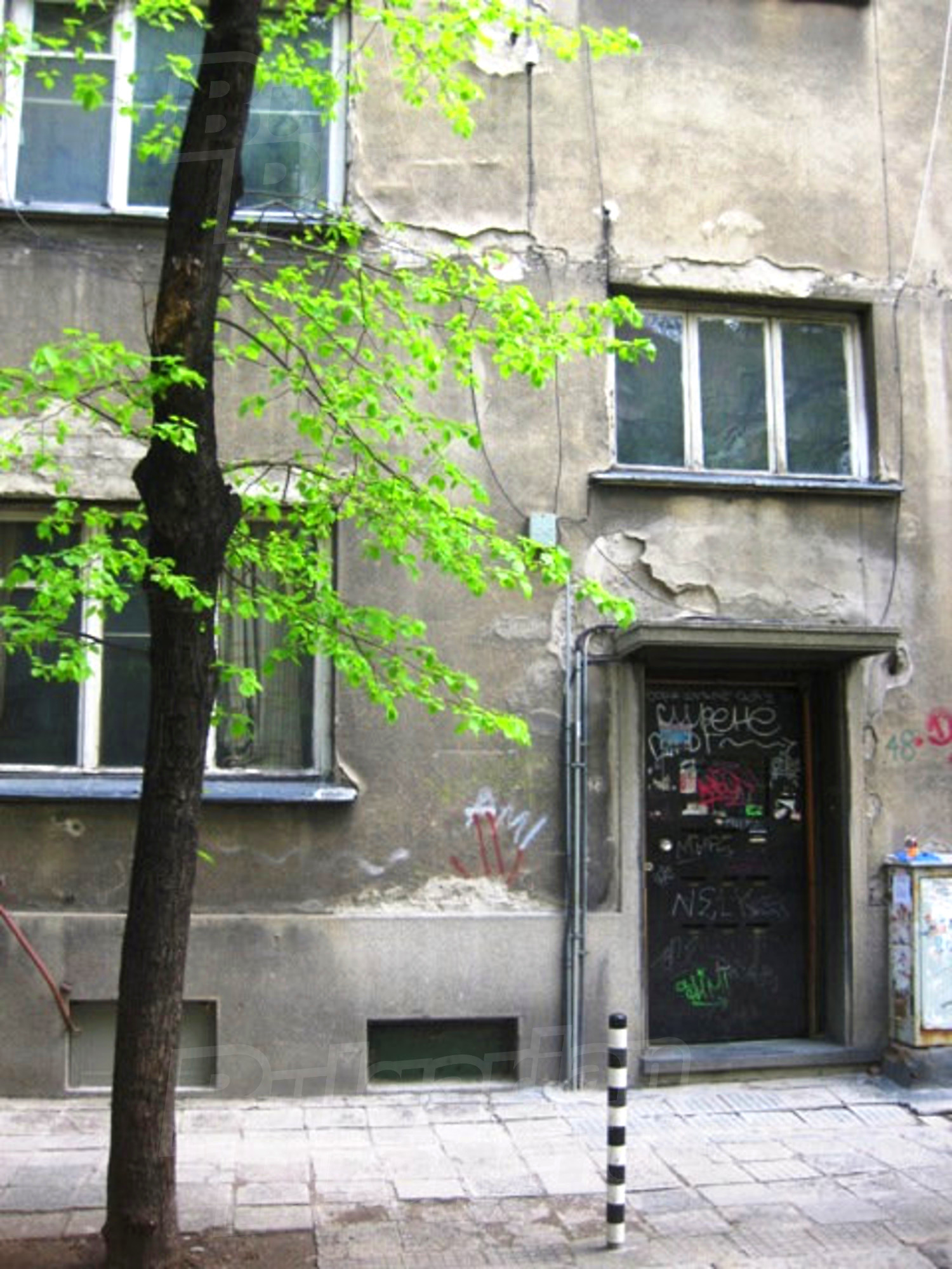Gallery Picture 16