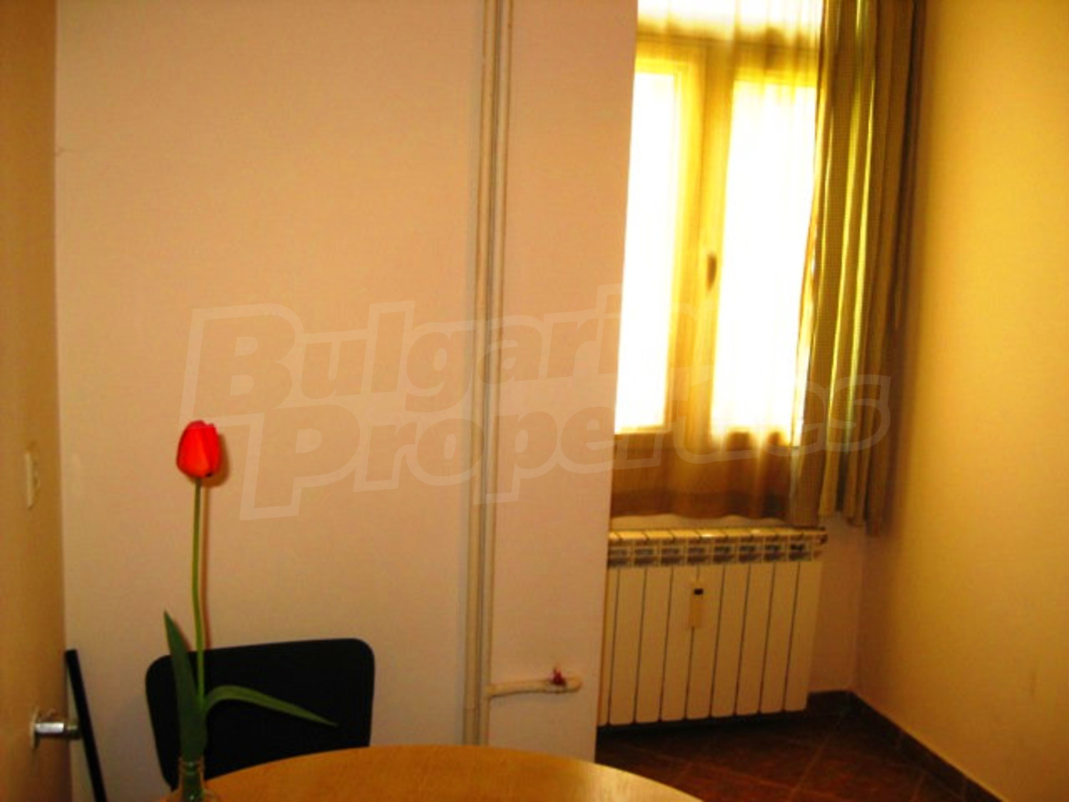 Gallery Picture 7