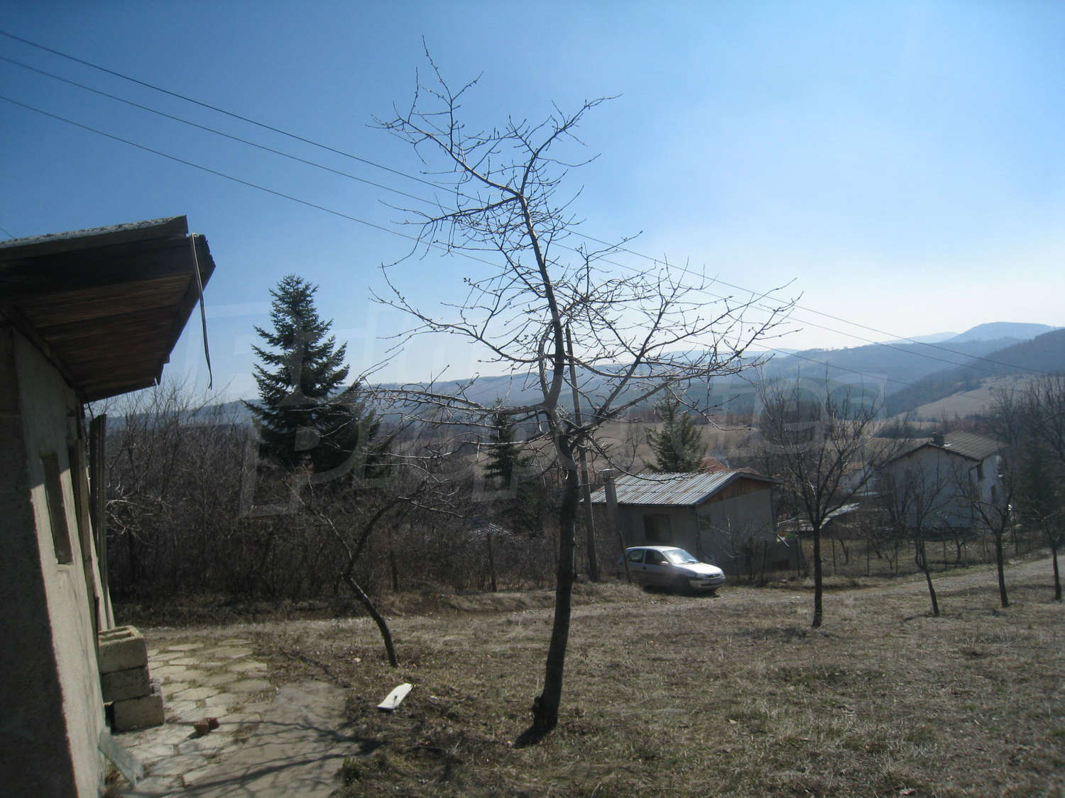 Gallery Picture 13