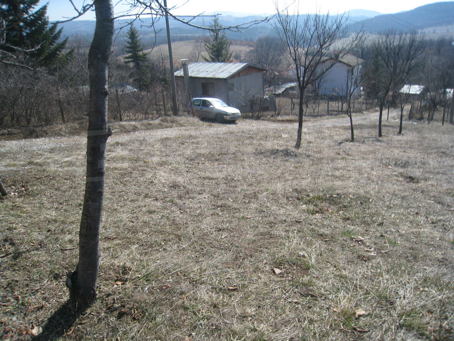 Gallery Picture 17