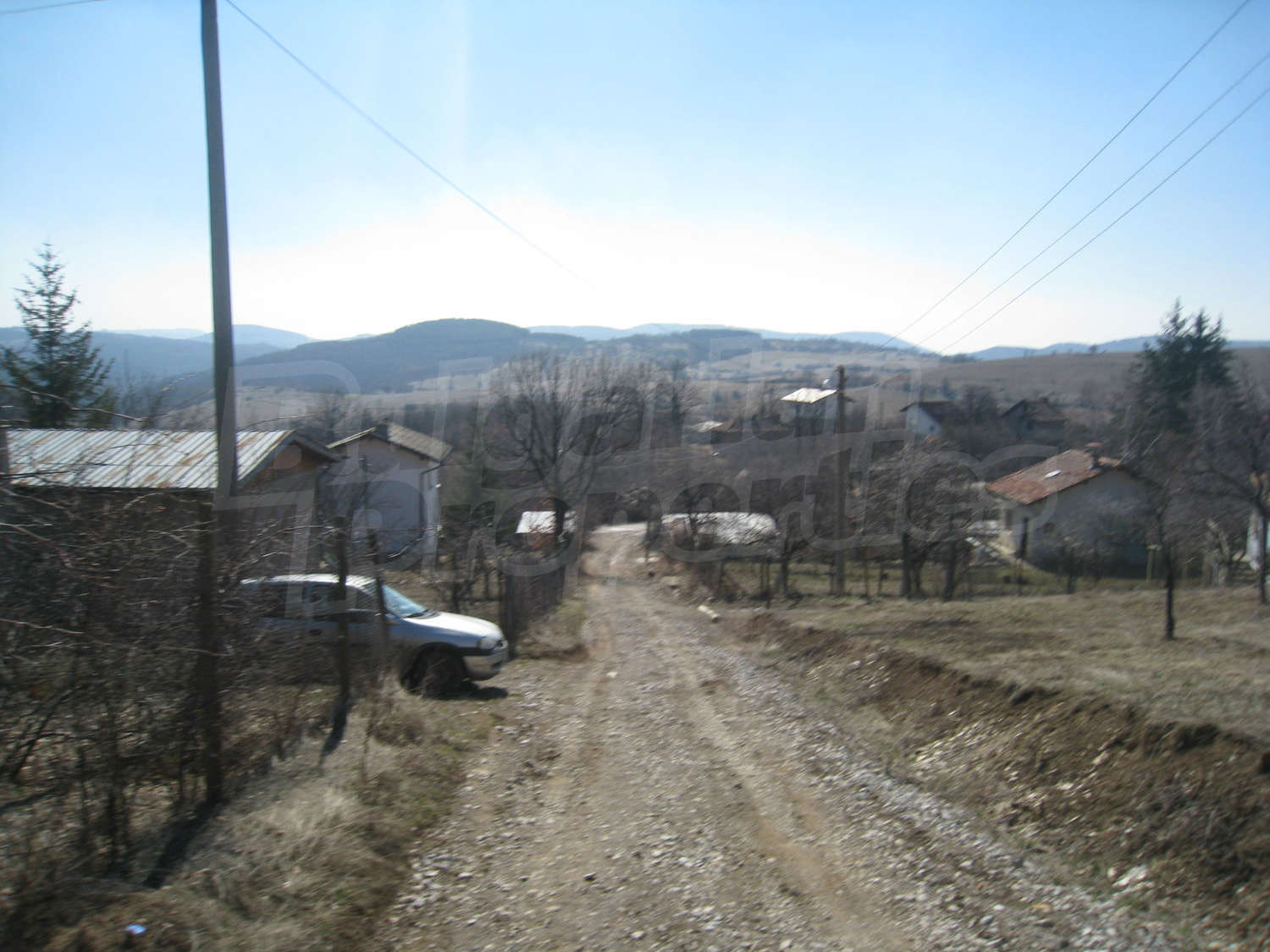 Gallery Picture 20