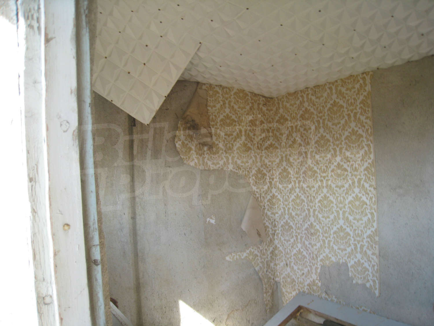Gallery Picture 9
