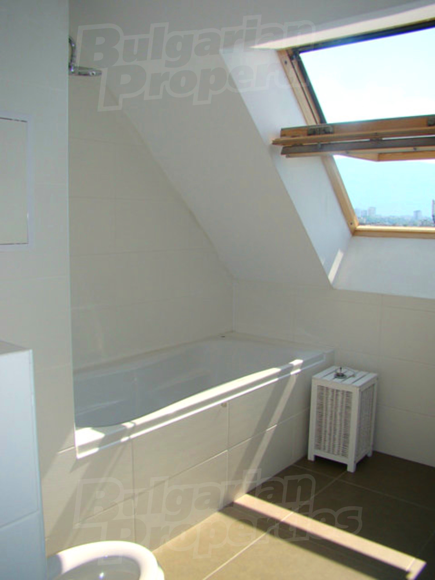 Gallery Picture 22