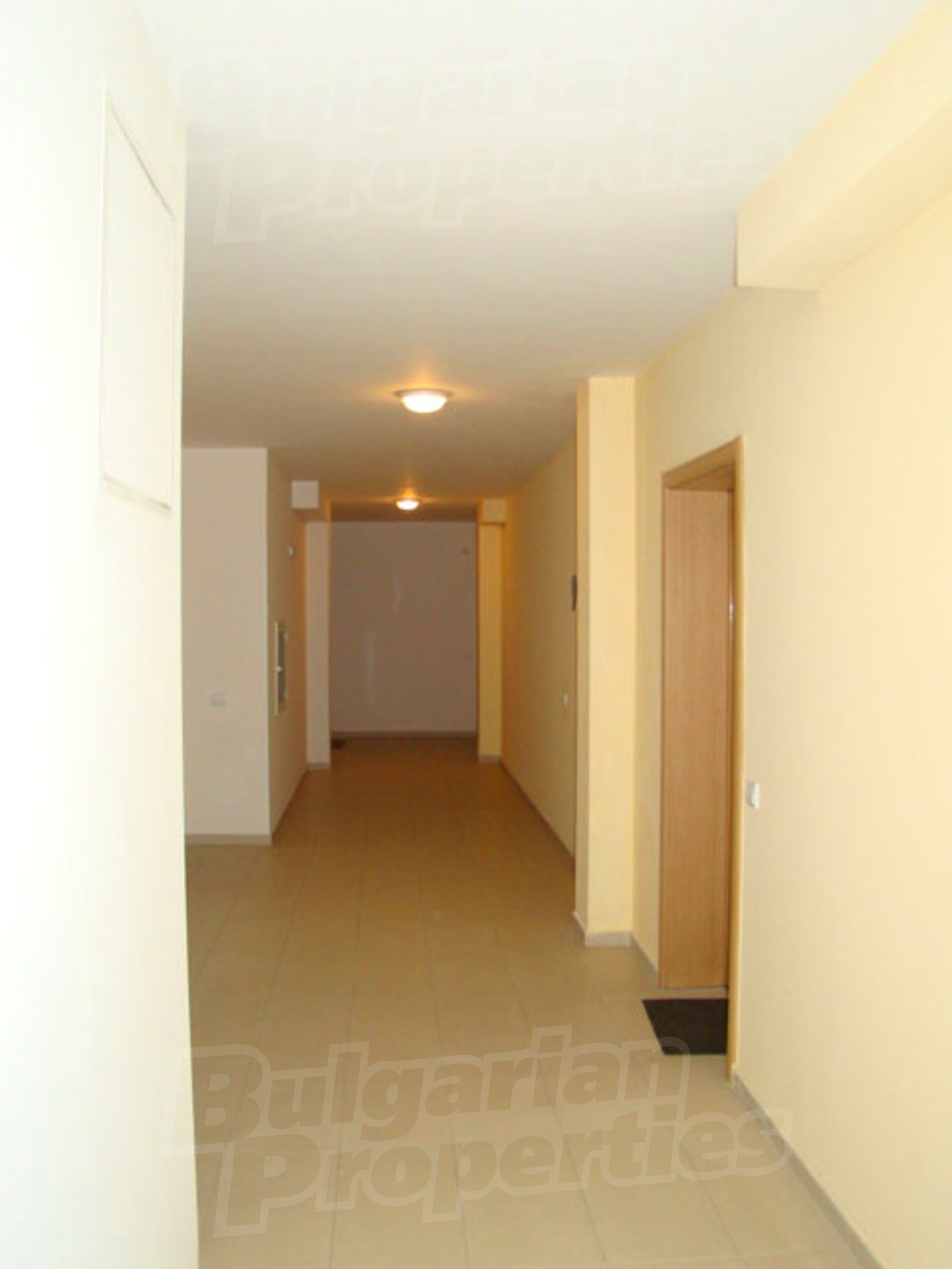 Gallery Picture 33