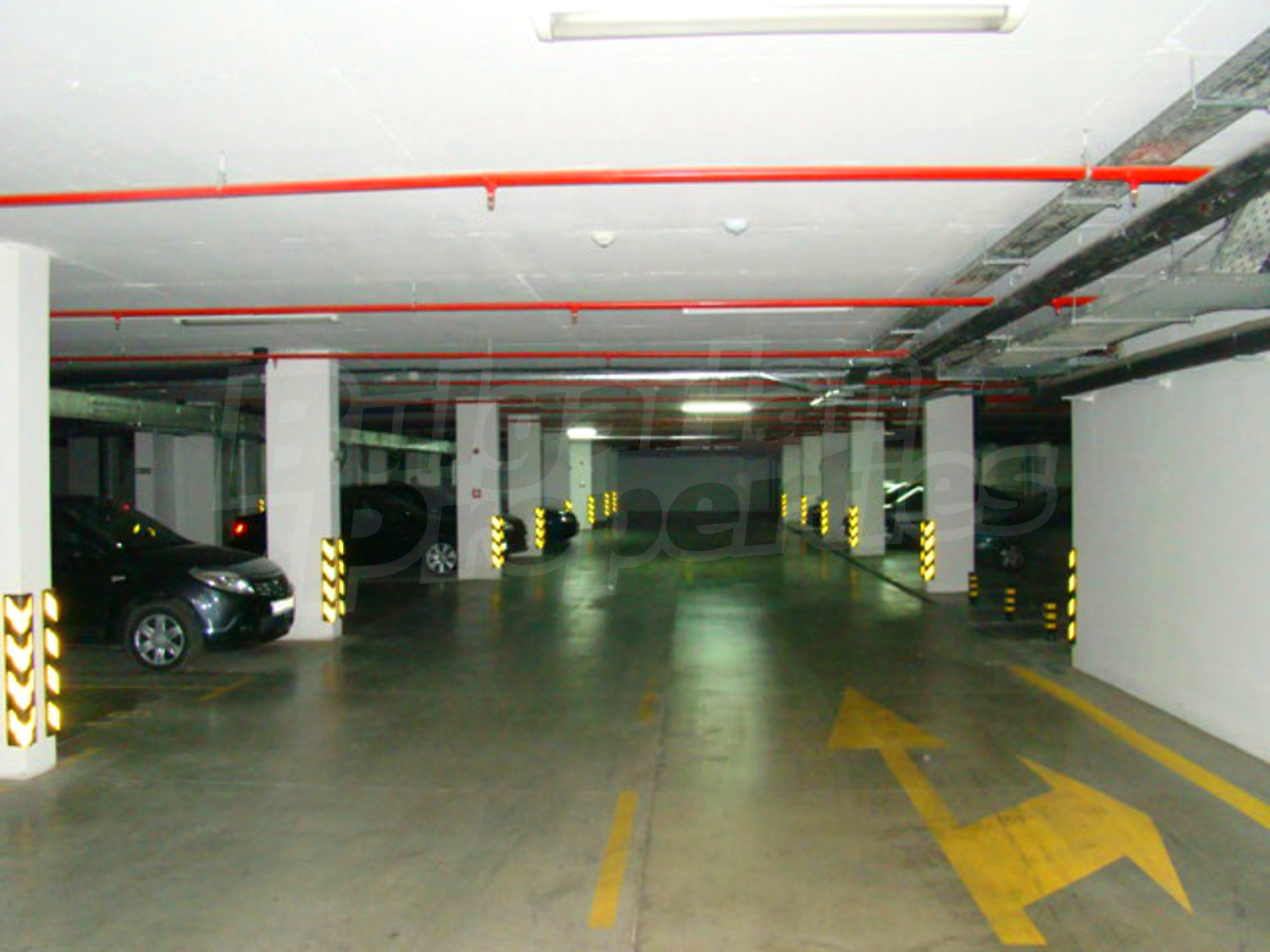 Gallery Picture 34
