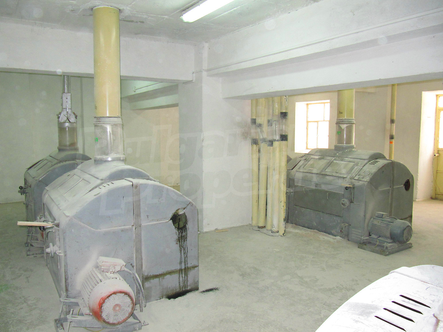 Gallery Picture 11