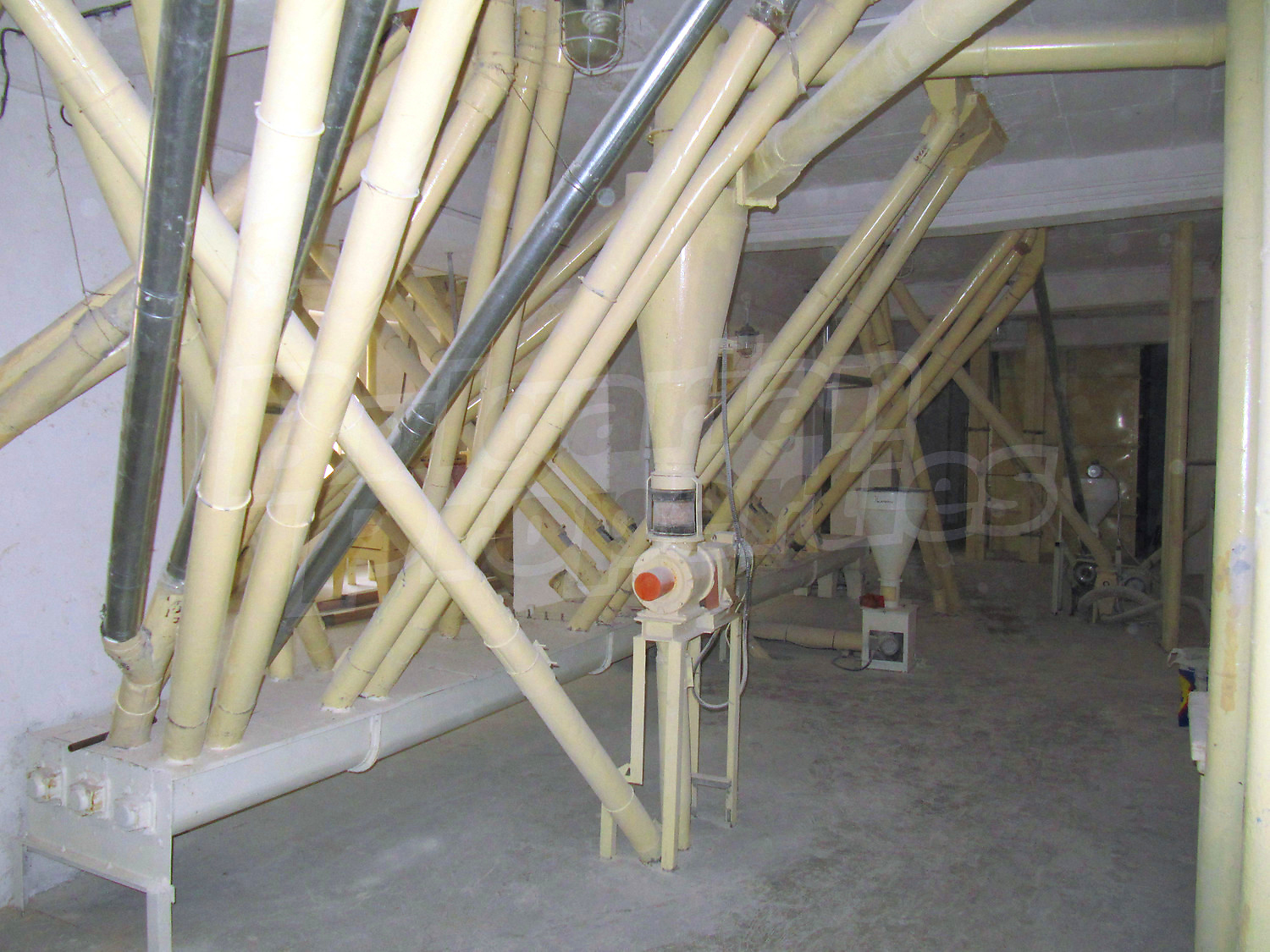 Gallery Picture 14