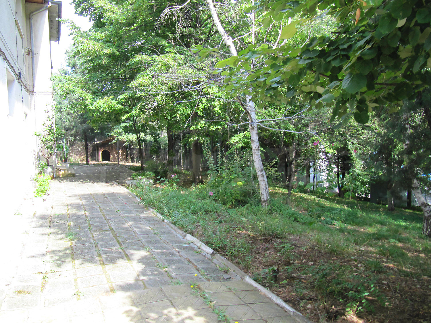 Gallery Picture 25