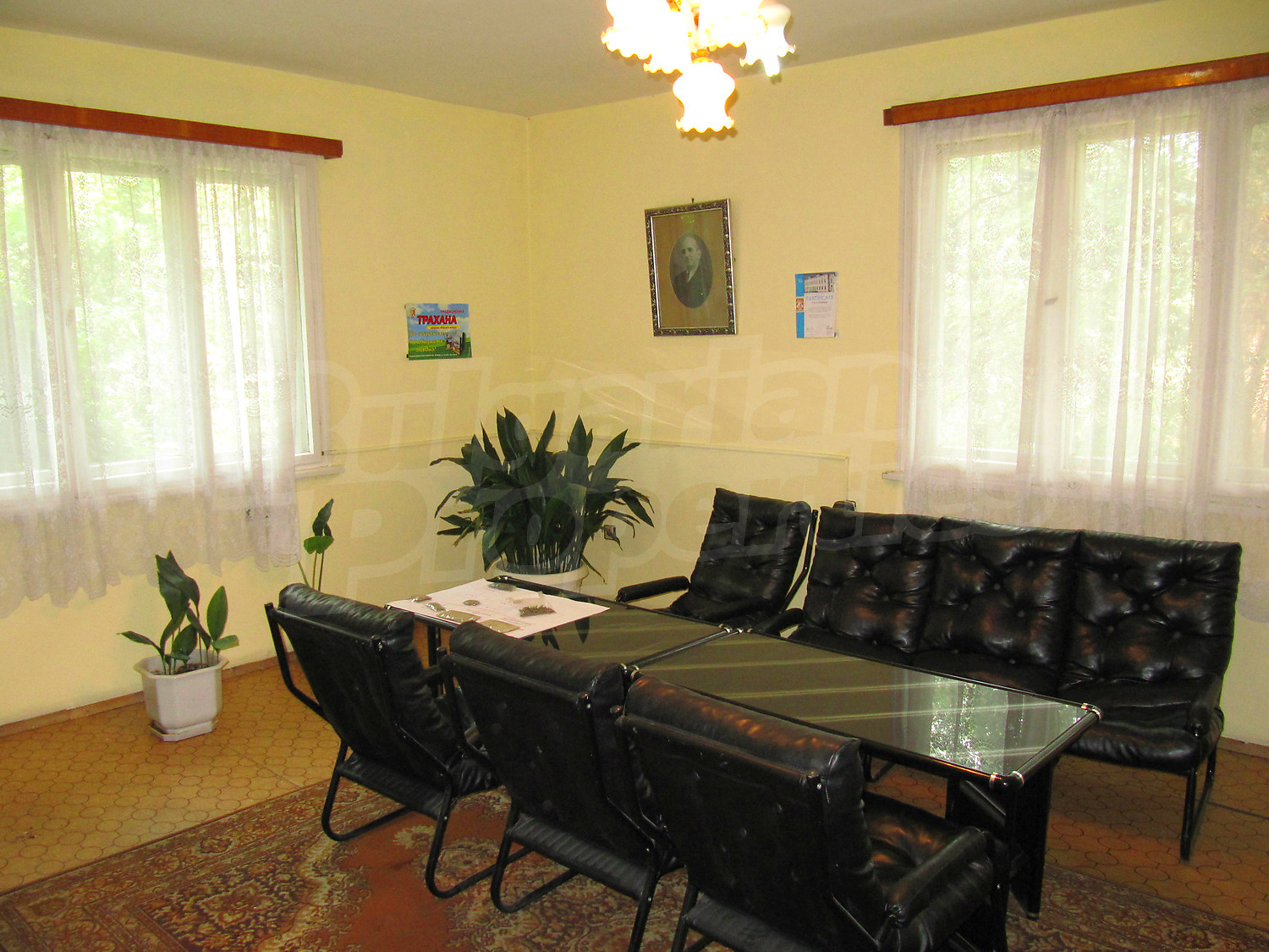 Gallery Picture 6