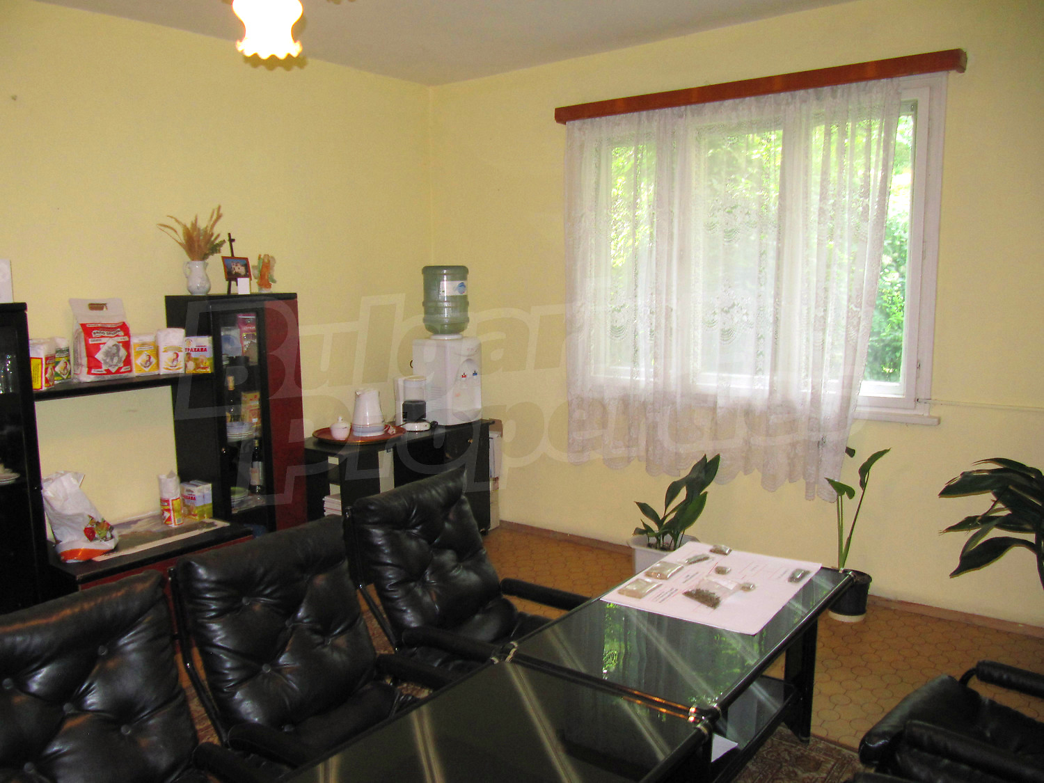 Gallery Picture 7