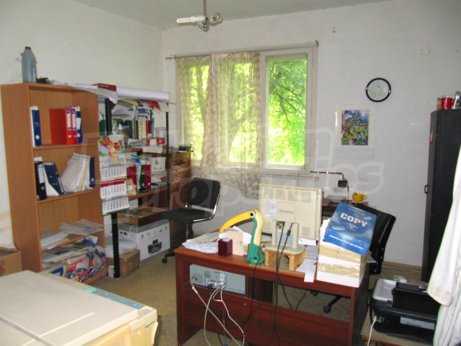Gallery Picture 8