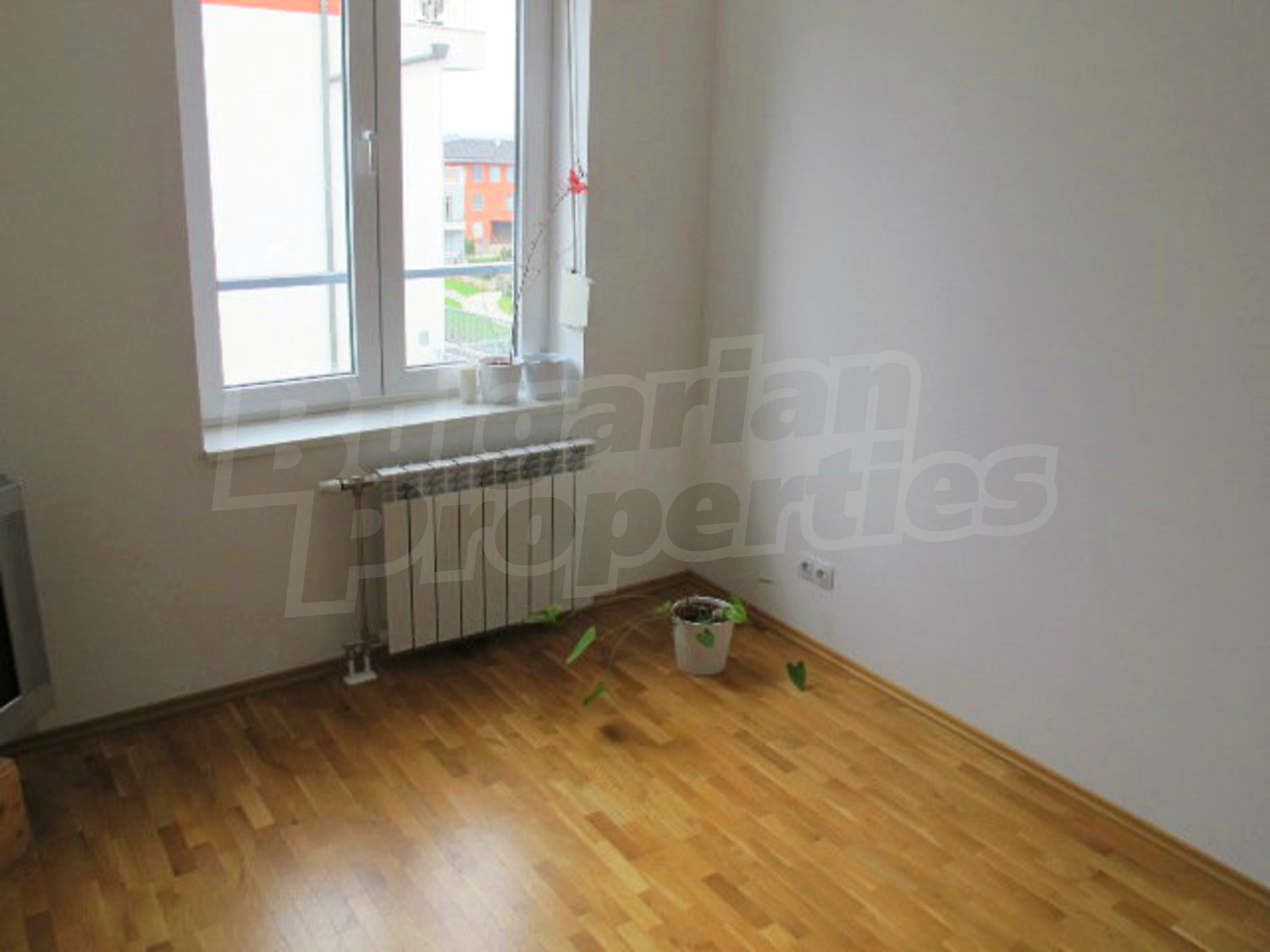 Gallery Picture 18
