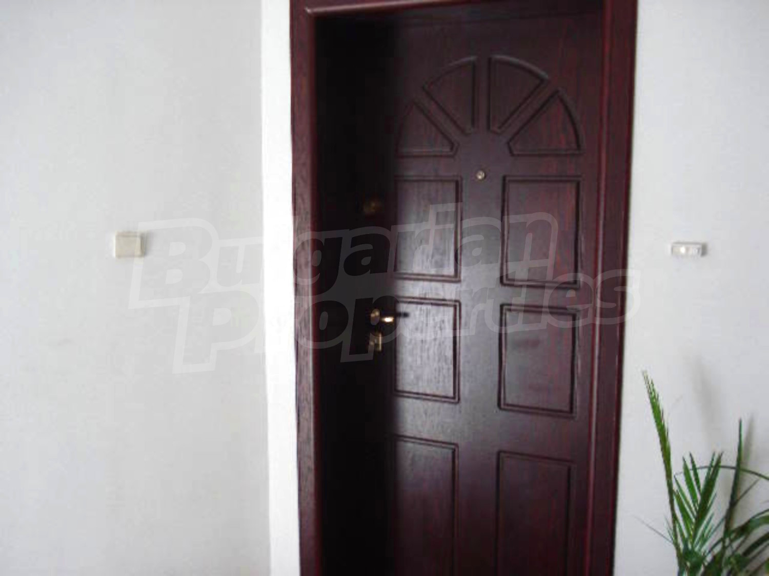 Gallery Picture 4