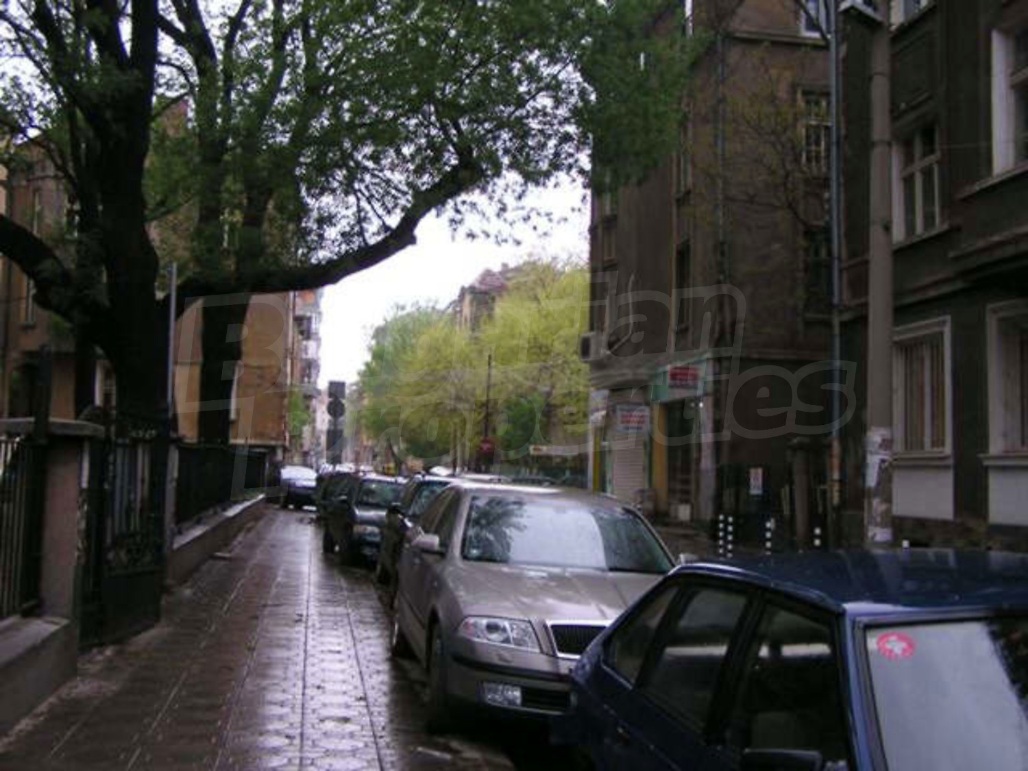 Gallery Picture 25