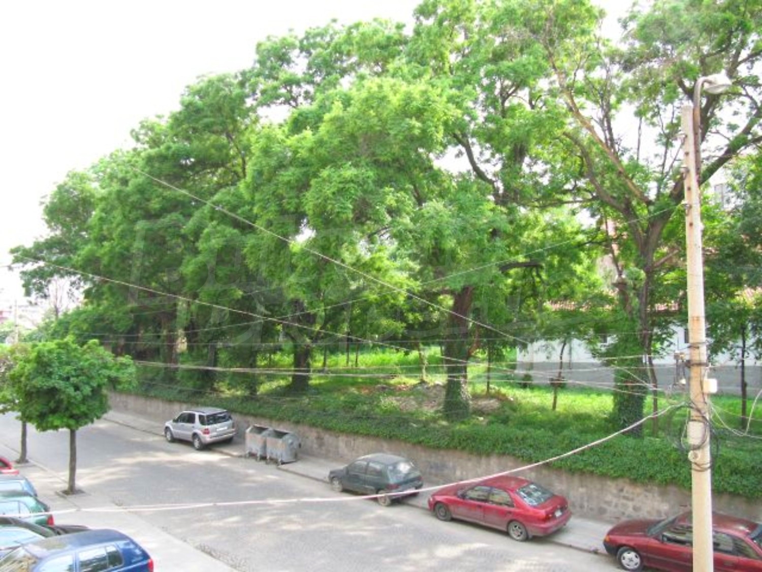 Gallery Picture 17