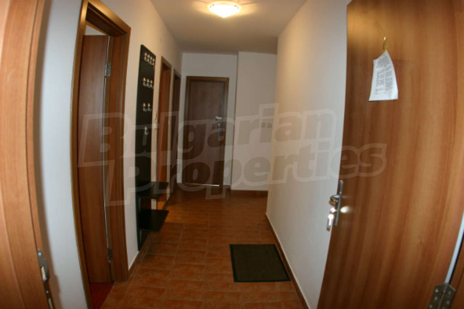 Gallery Picture 17
