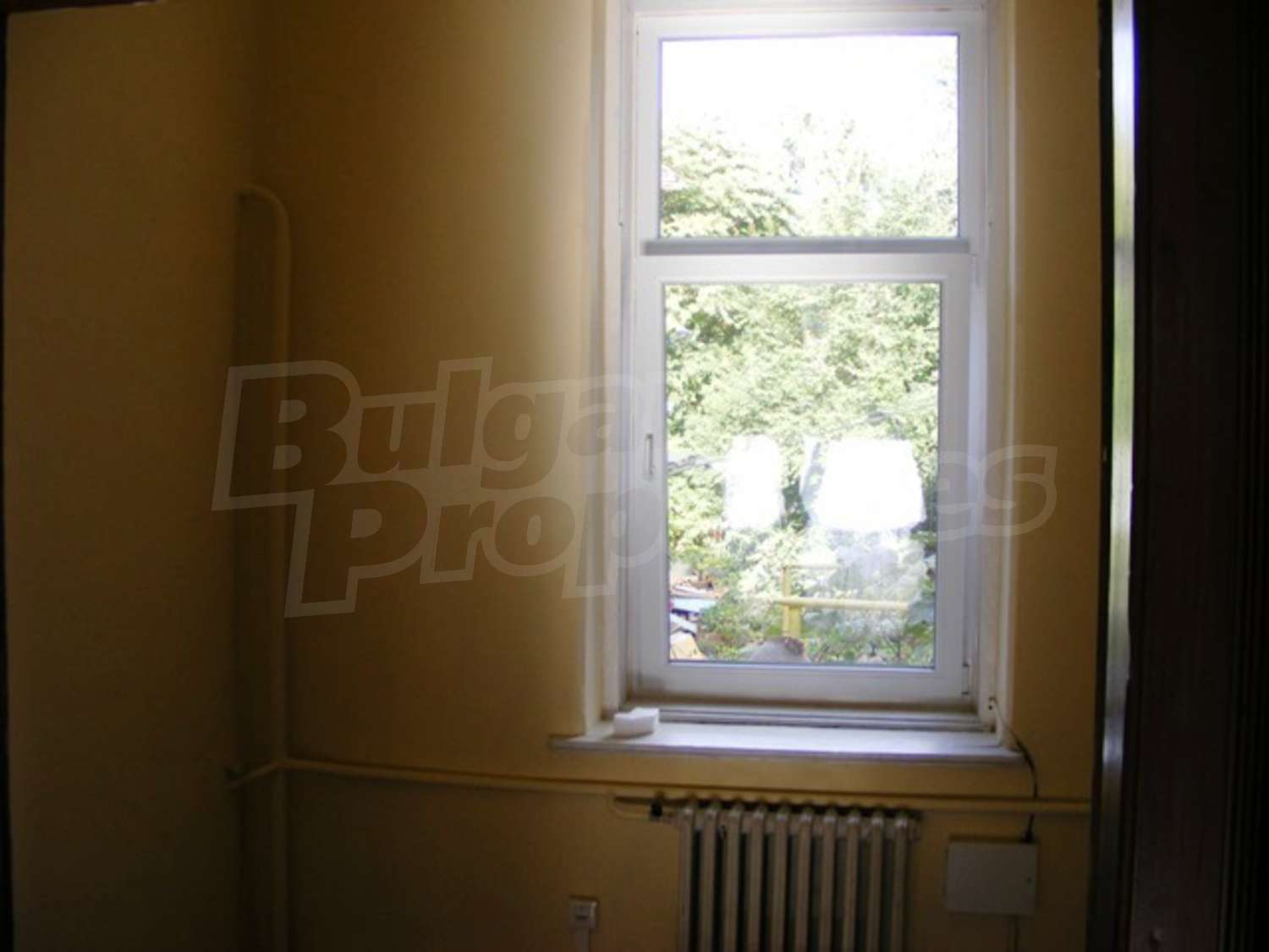 Gallery Picture 3