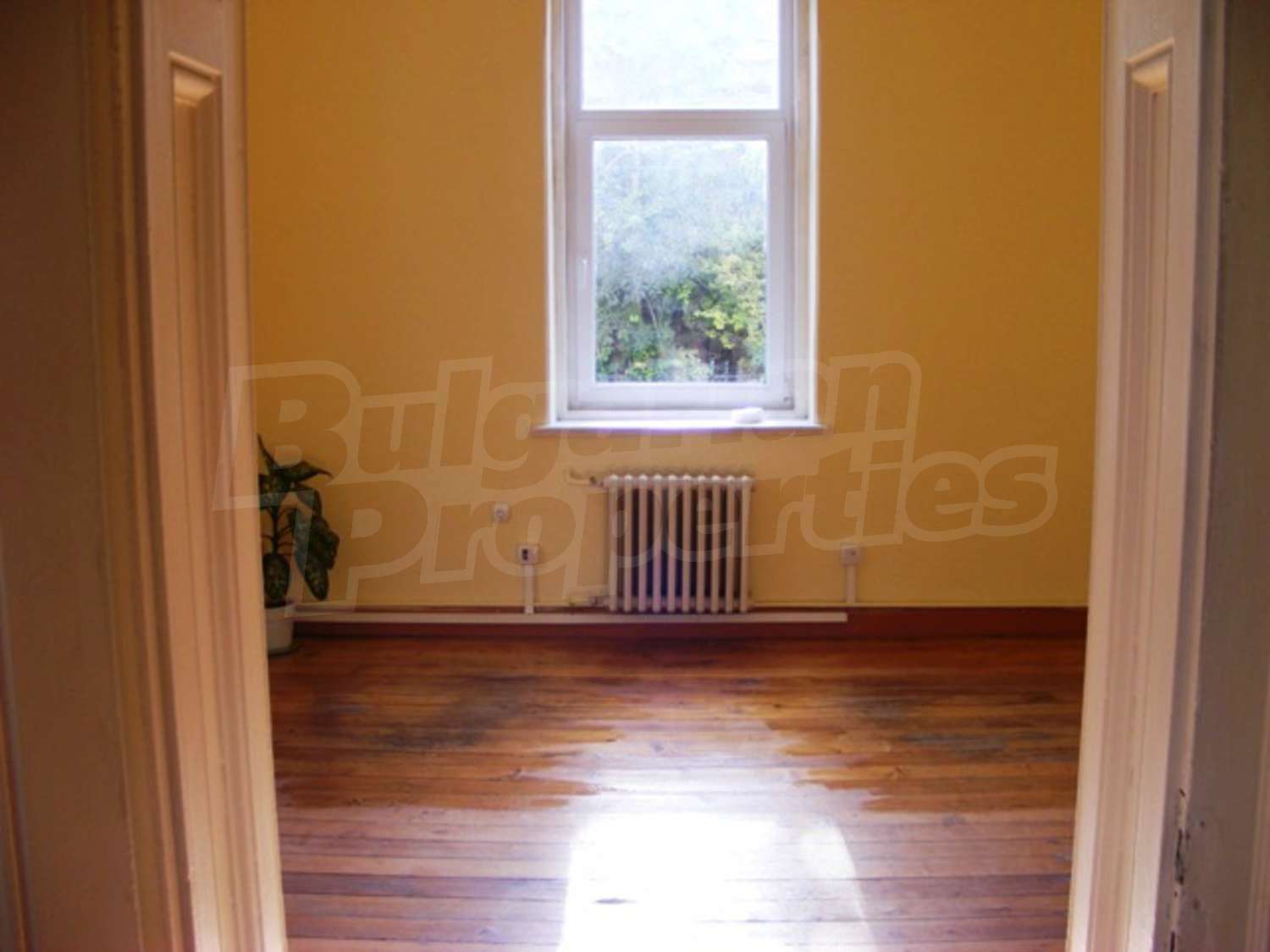 Gallery Picture 4