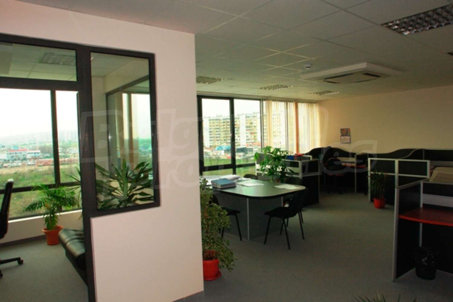 Gallery Picture 2