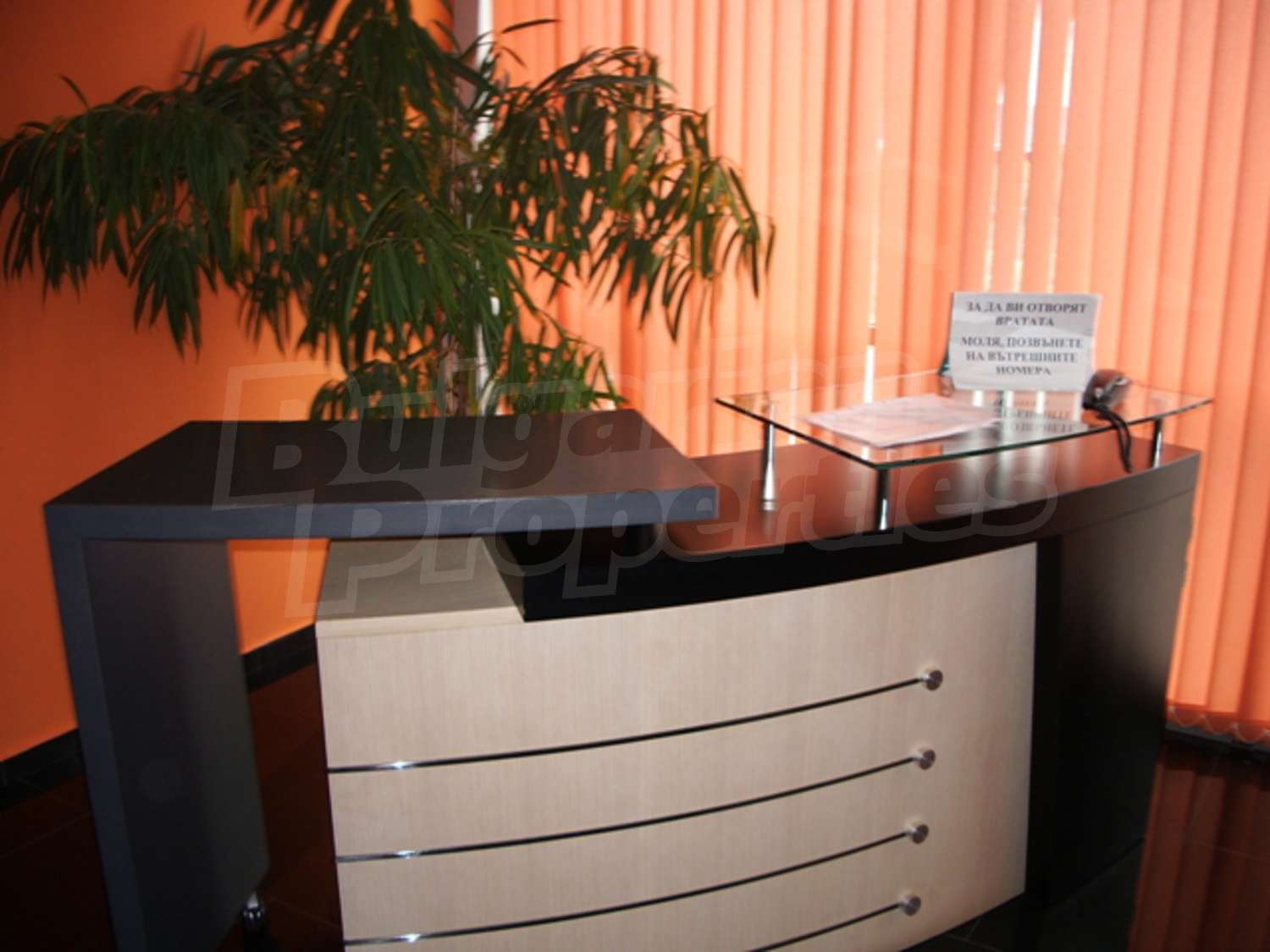 Gallery Picture 3