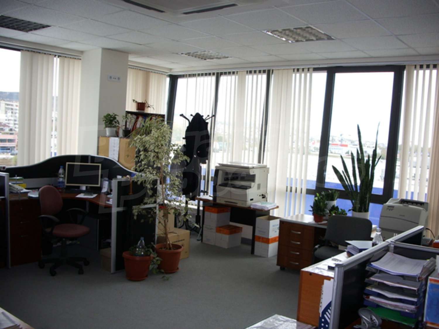 Gallery Picture 5