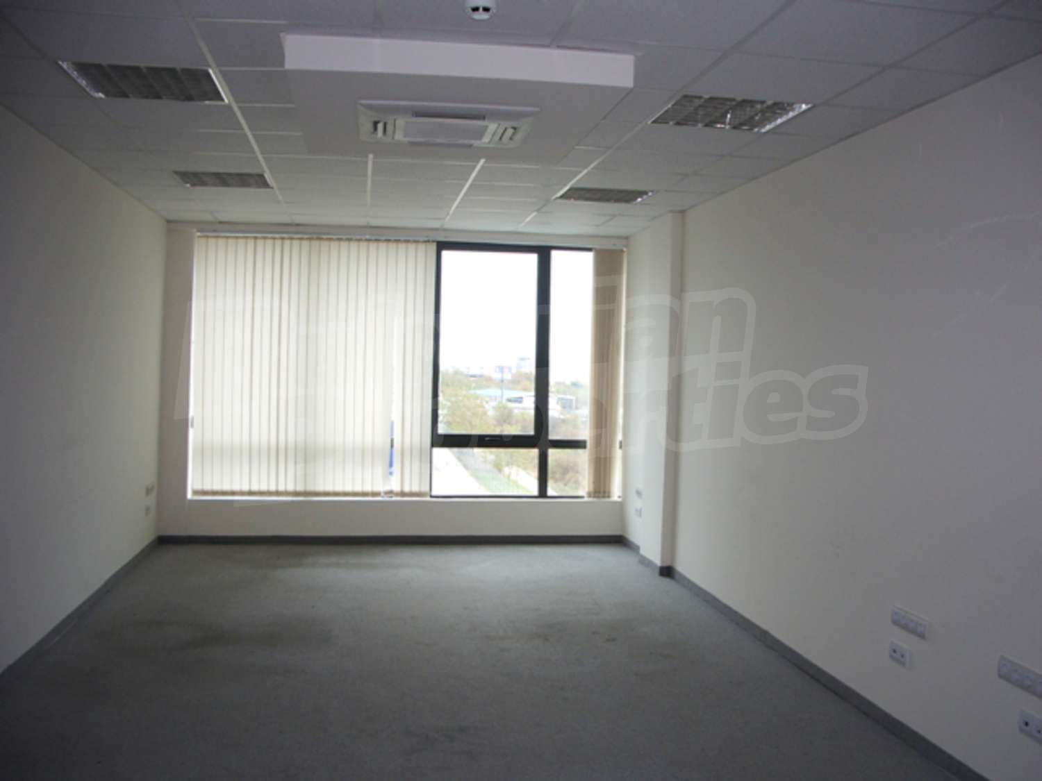Gallery Picture 7