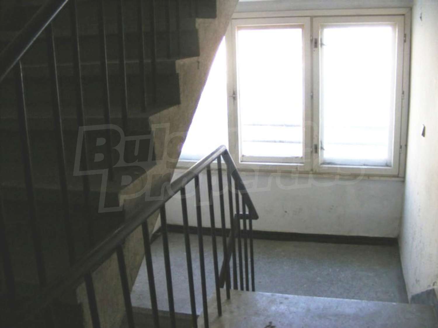 Gallery Picture 16