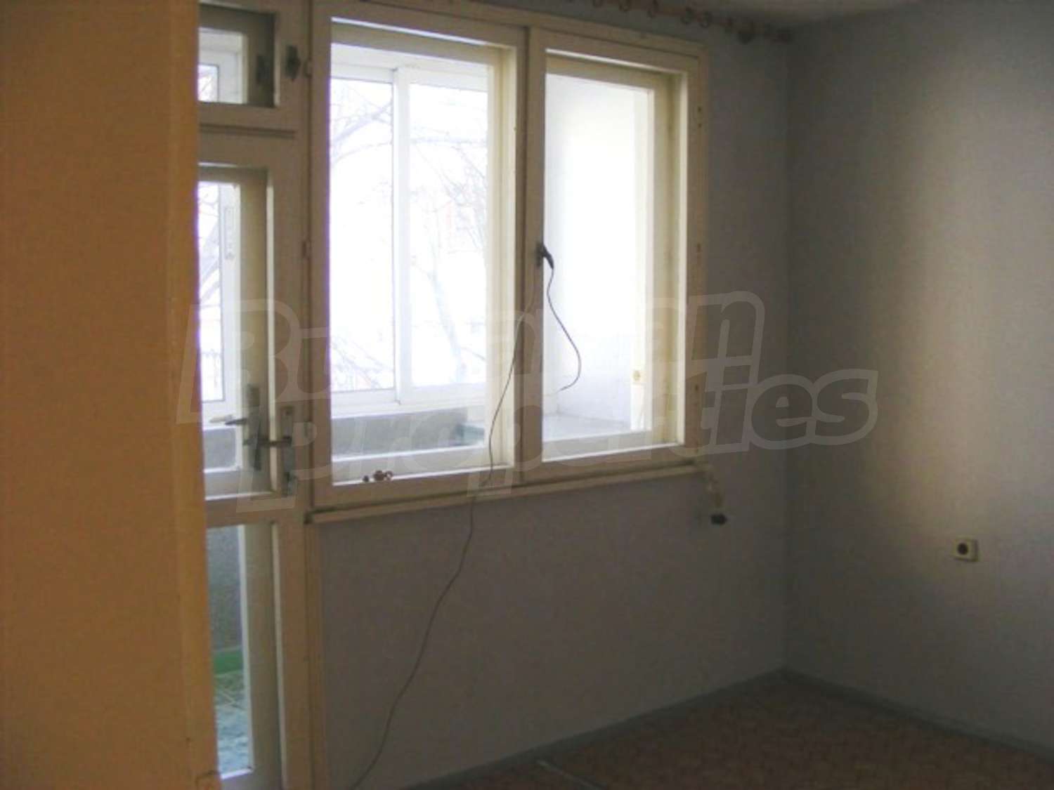 Gallery Picture 3