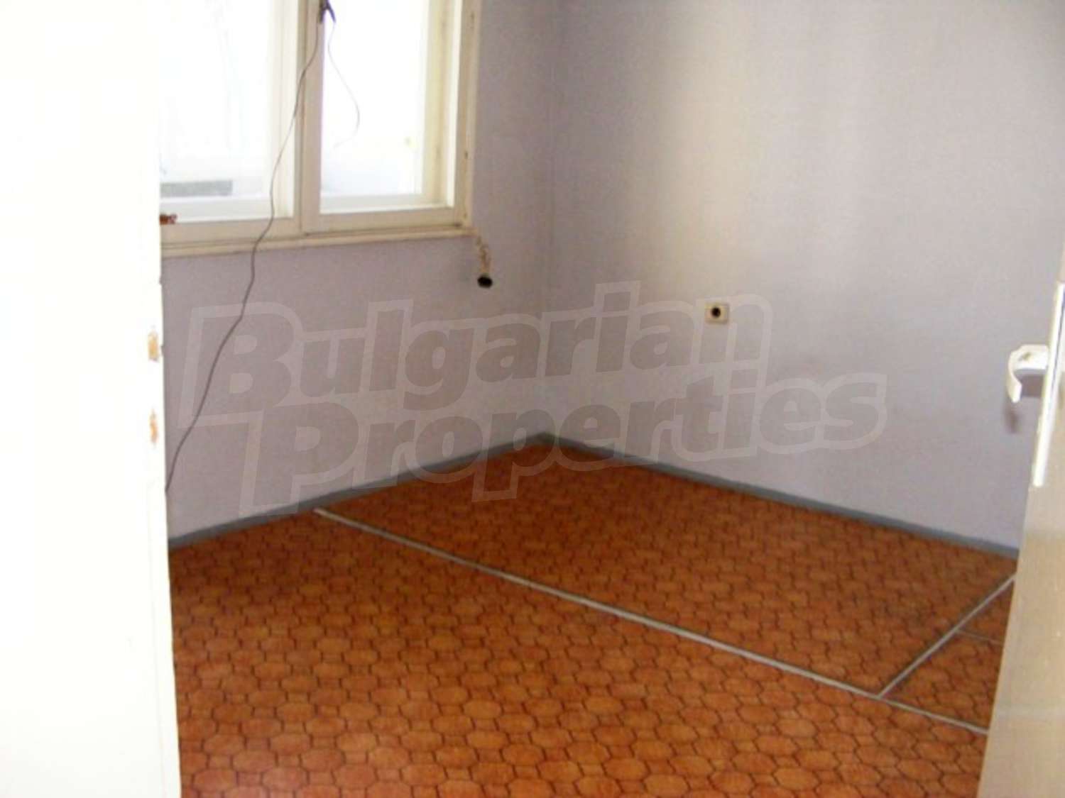 Gallery Picture 4