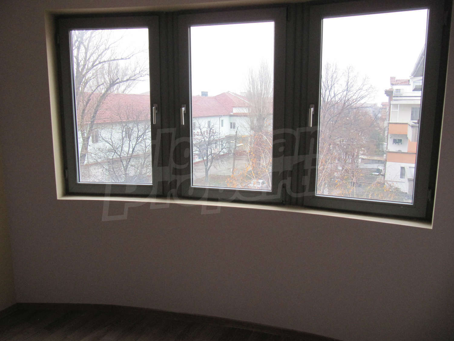 Gallery Picture 5