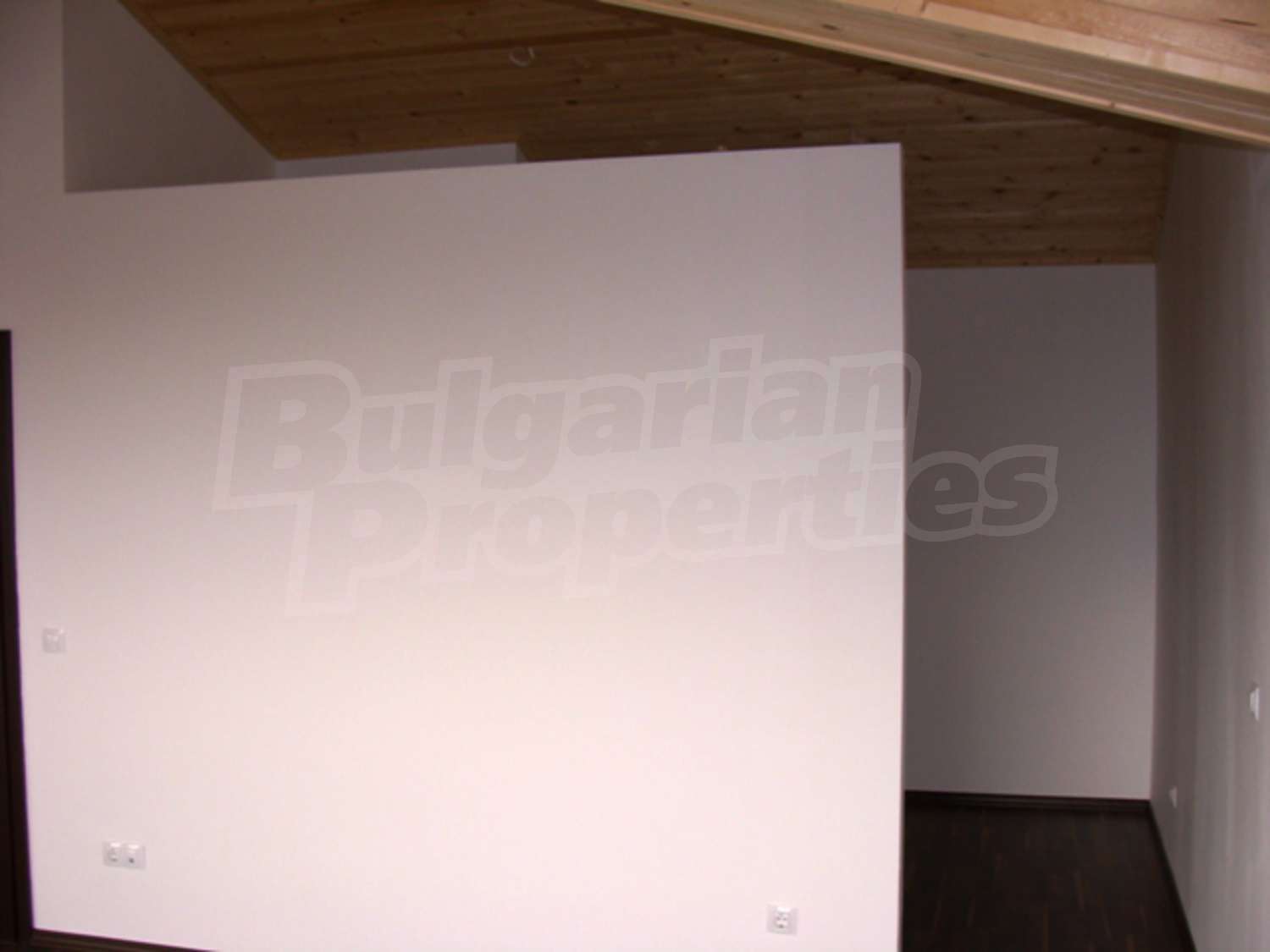 Gallery Picture 19