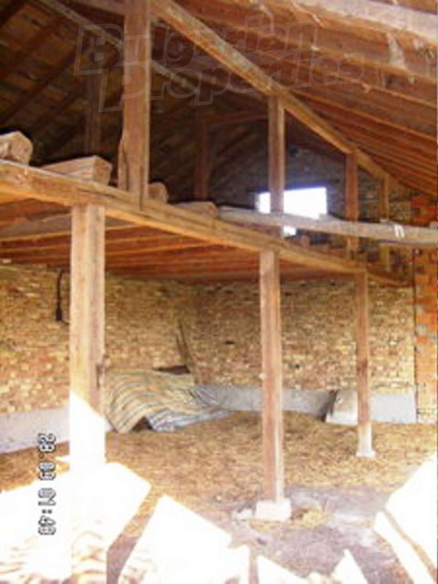 Gallery Picture 10