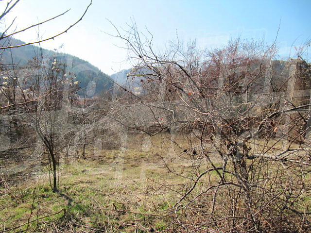 Gallery Picture 11