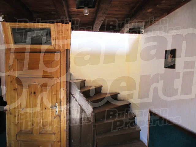 Gallery Picture 13