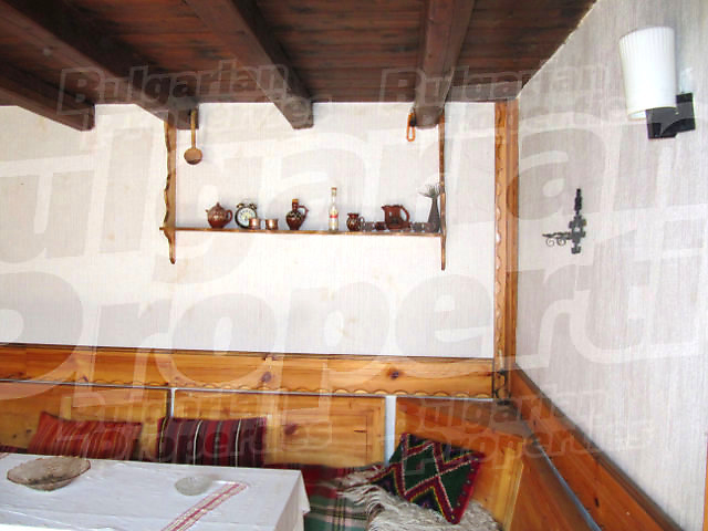 Gallery Picture 17