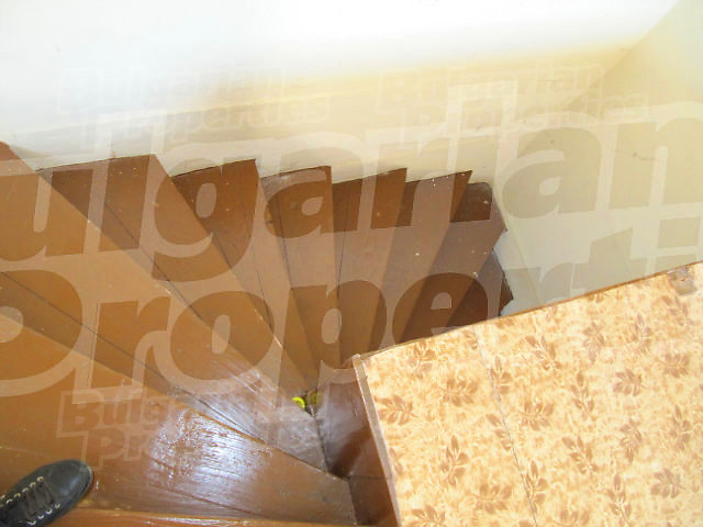 Gallery Picture 19
