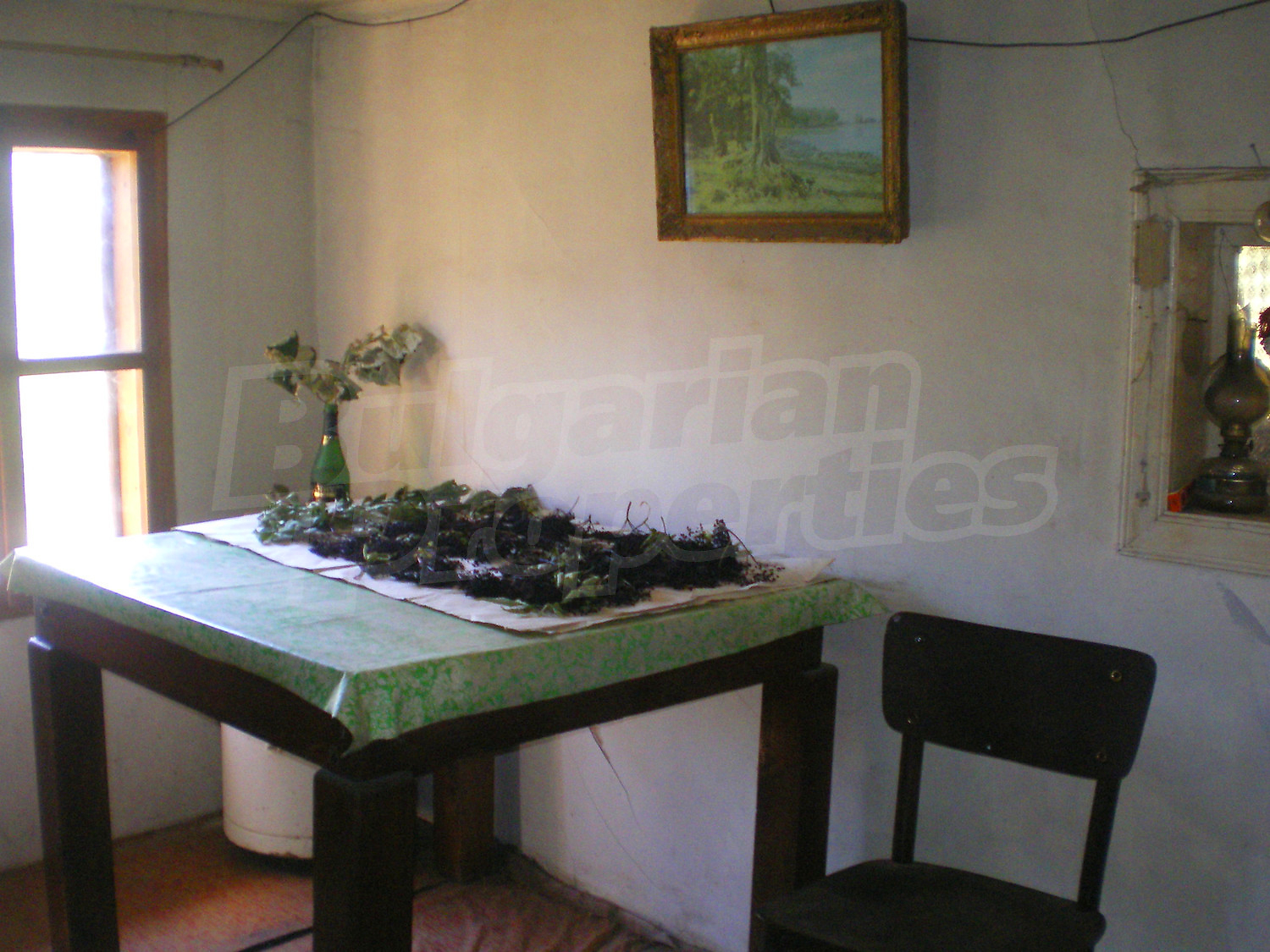 Gallery Picture 13