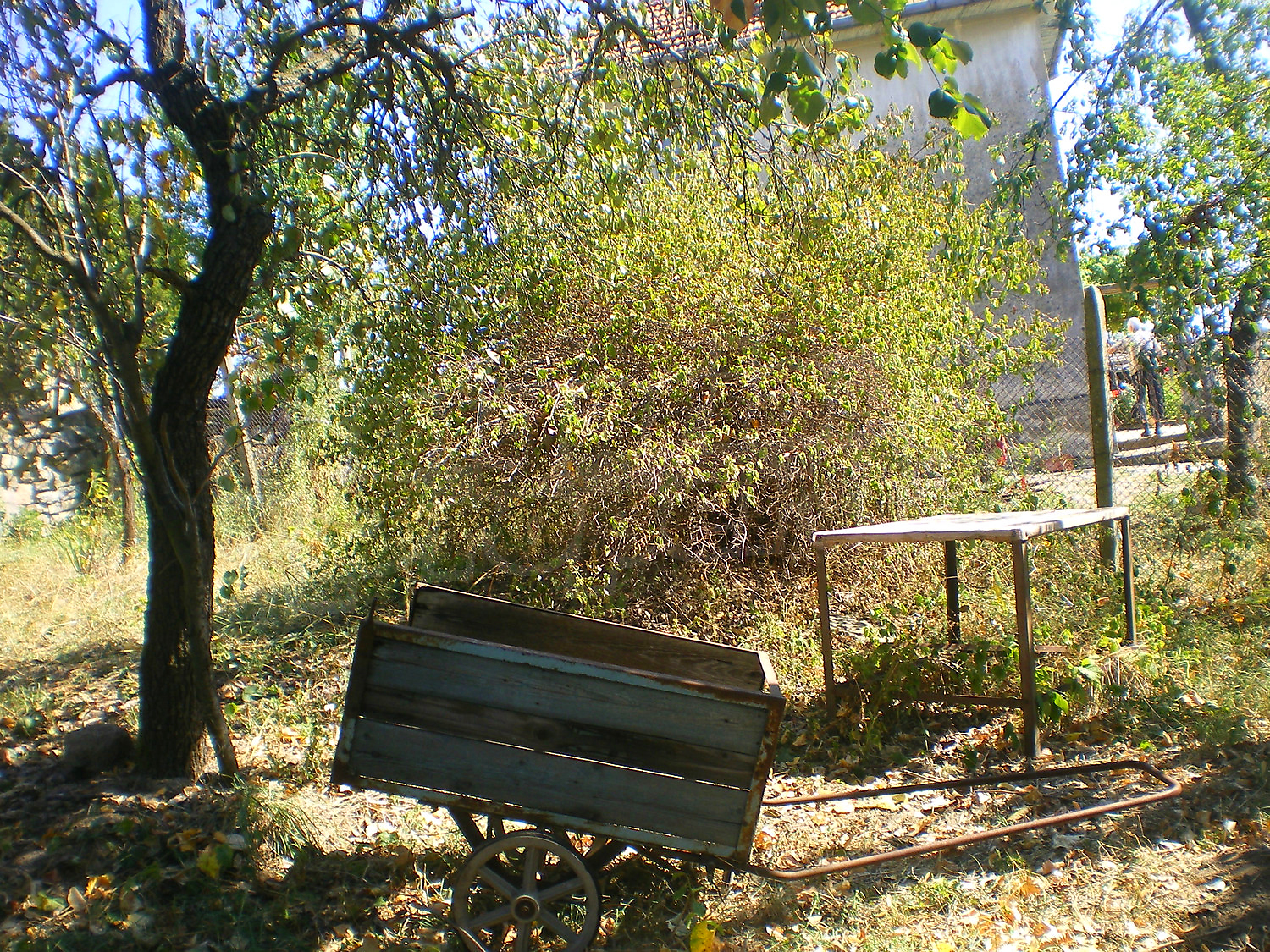 Gallery Picture 27