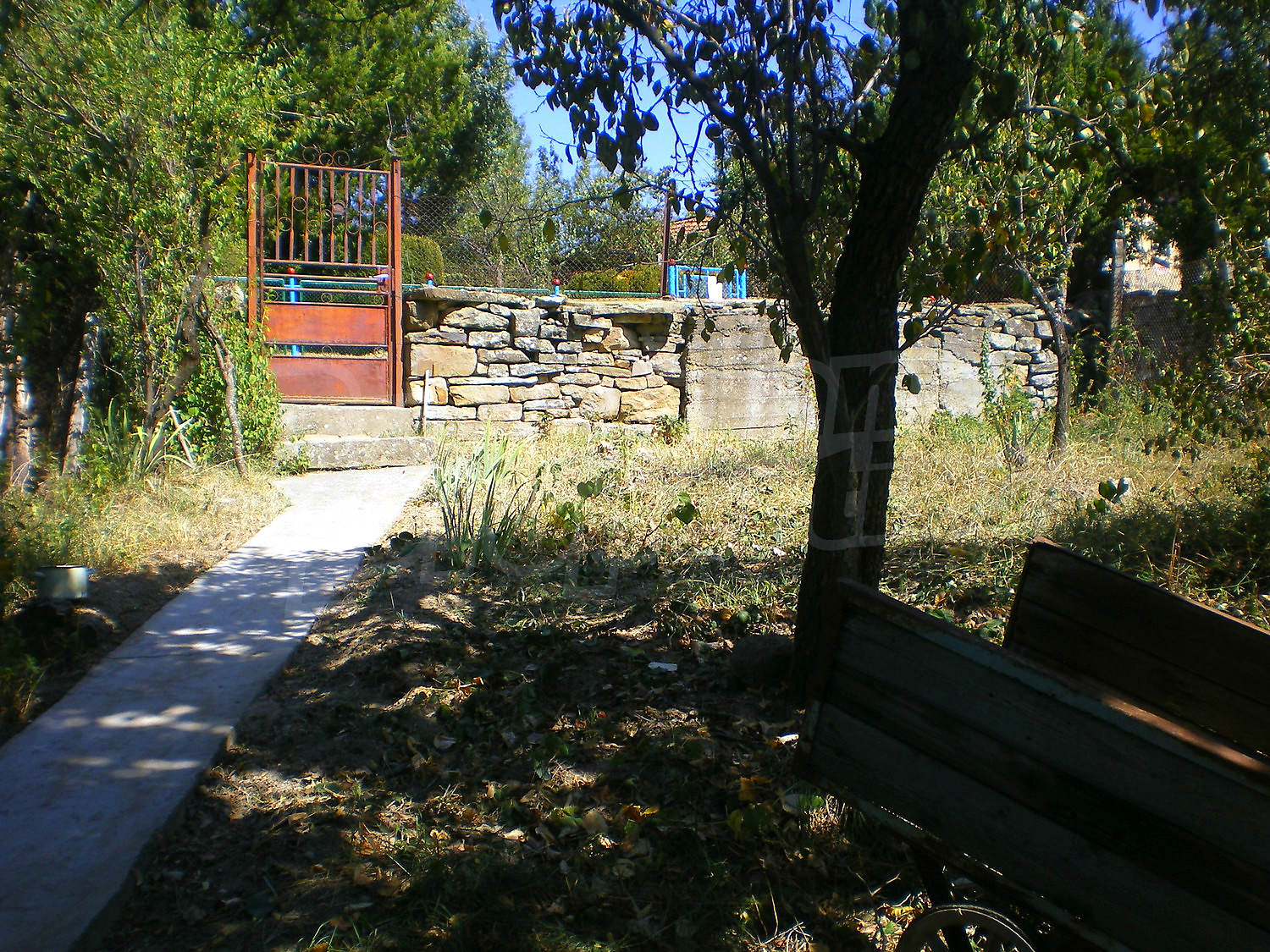 Gallery Picture 28