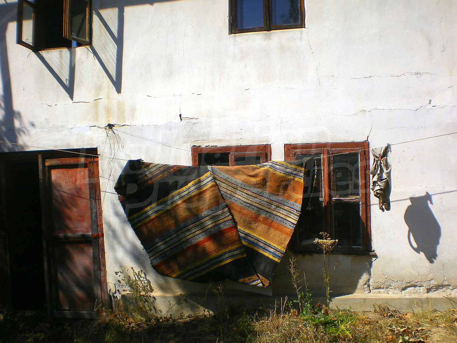 Gallery Picture 29