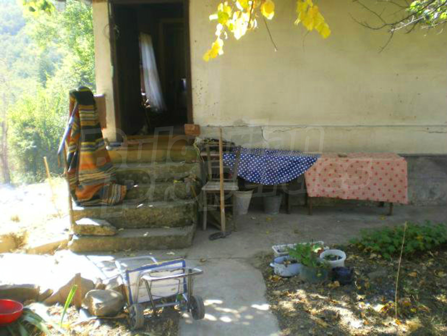 Gallery Picture 30