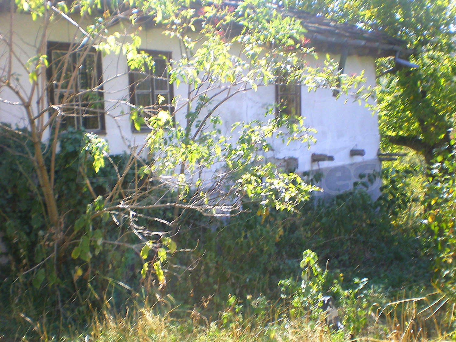 Gallery Picture 7