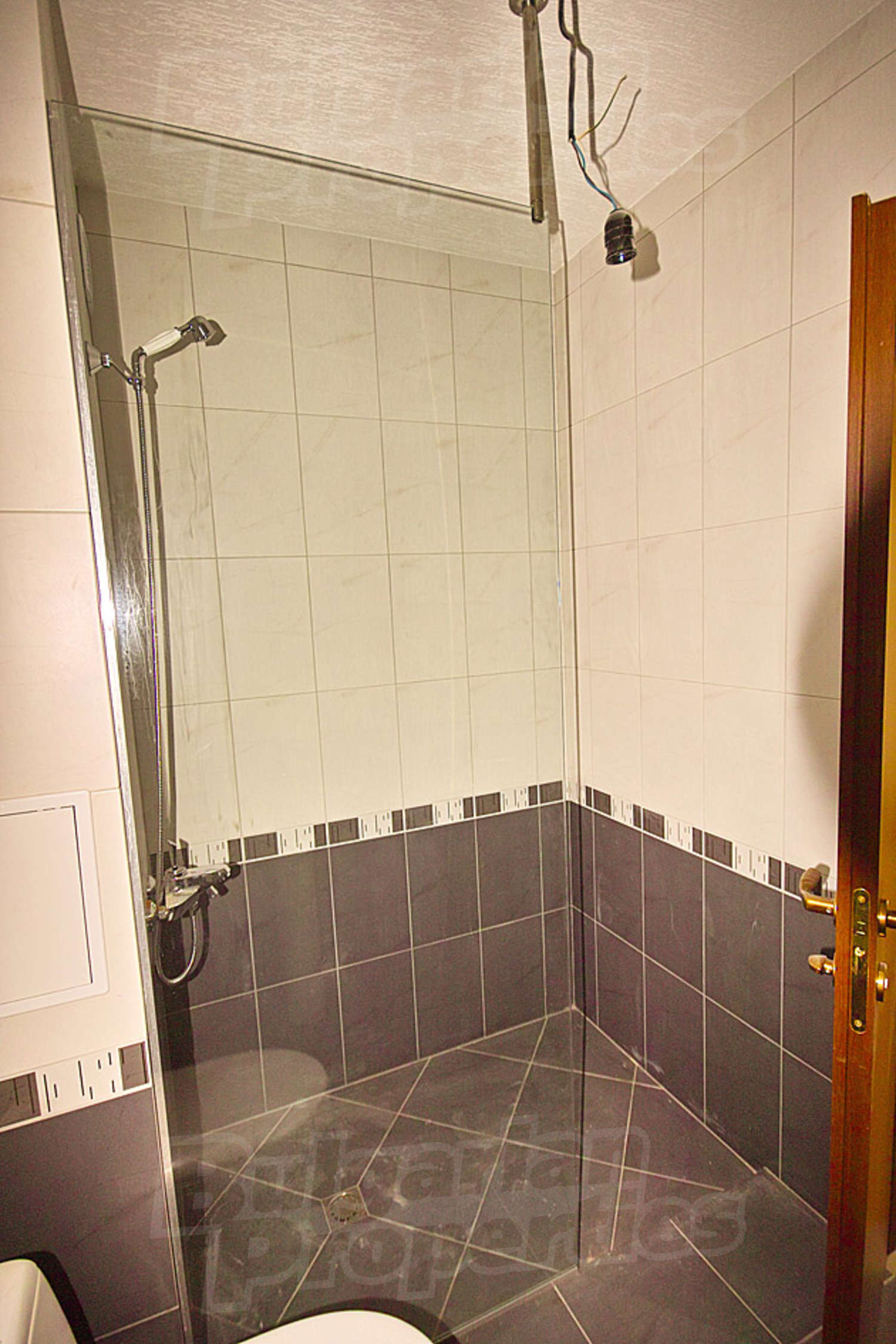 Gallery Picture 17